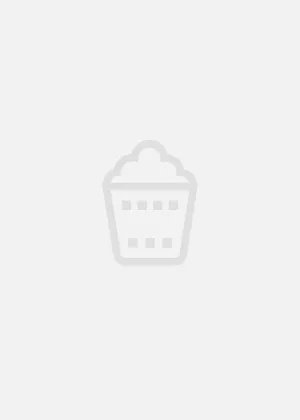 燃情岁月2006