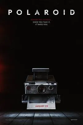 拍栗得2019