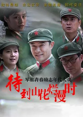 待到山花烂漫时[电影解说]