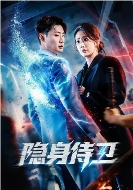隐身侍卫