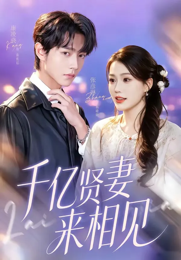 千亿贤妻来相见