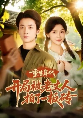 重生年代开局被老丈人拍了一板砖