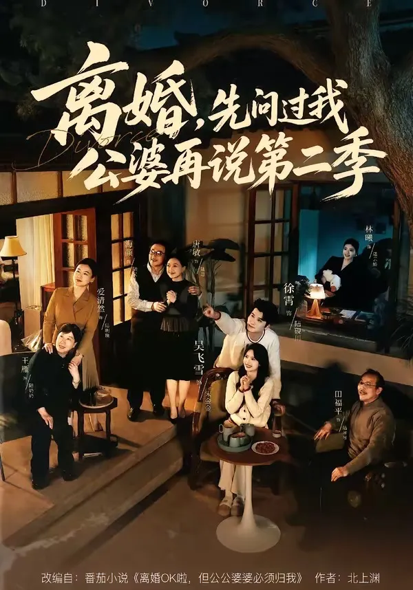 离婚，先问过我公婆再说第二季