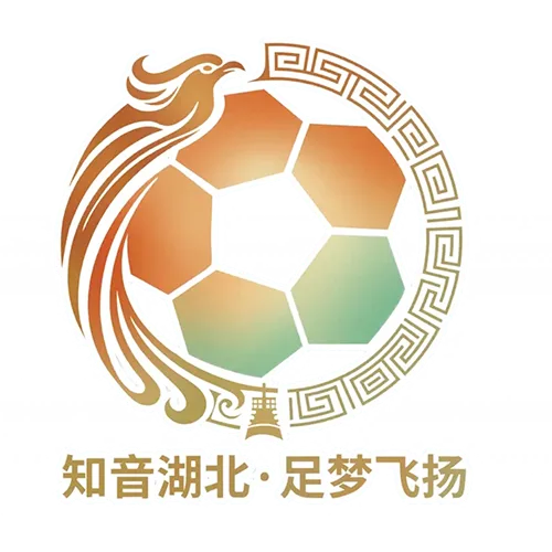 湖北省城市足球联赛 黄石美尔雅队VS宜昌东阳光队20260523