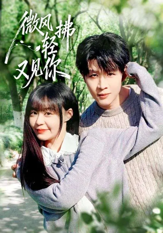 微风轻拂又见你