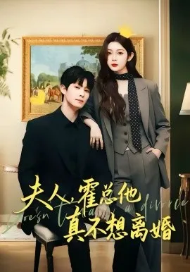 夫人，霍总他真不想离婚