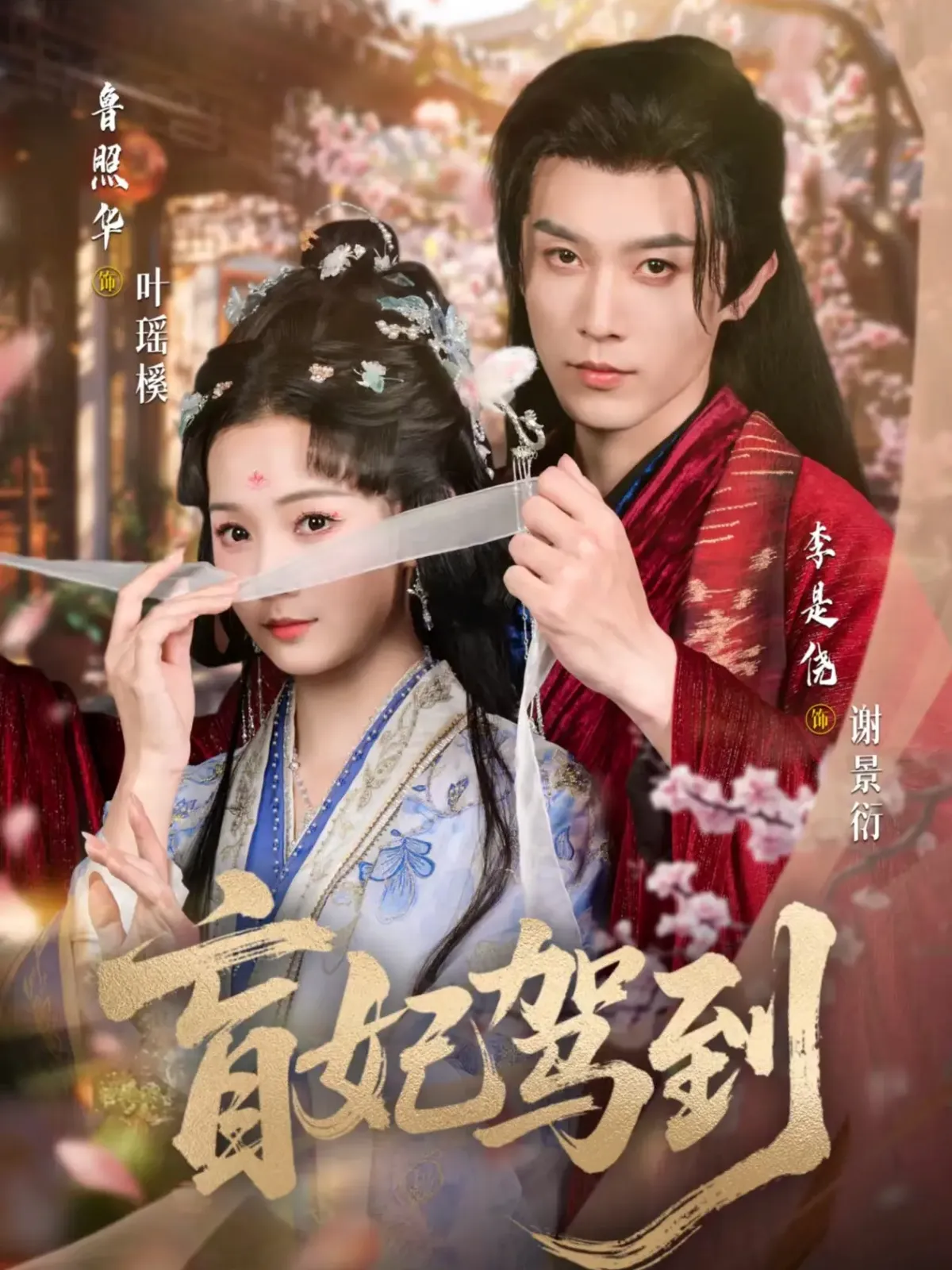 盲妃驾到