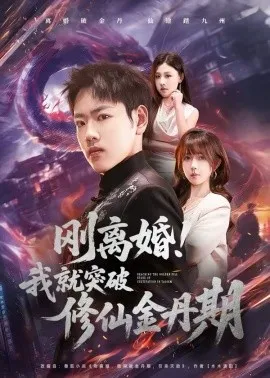 刚离婚！我就突破修仙金丹期