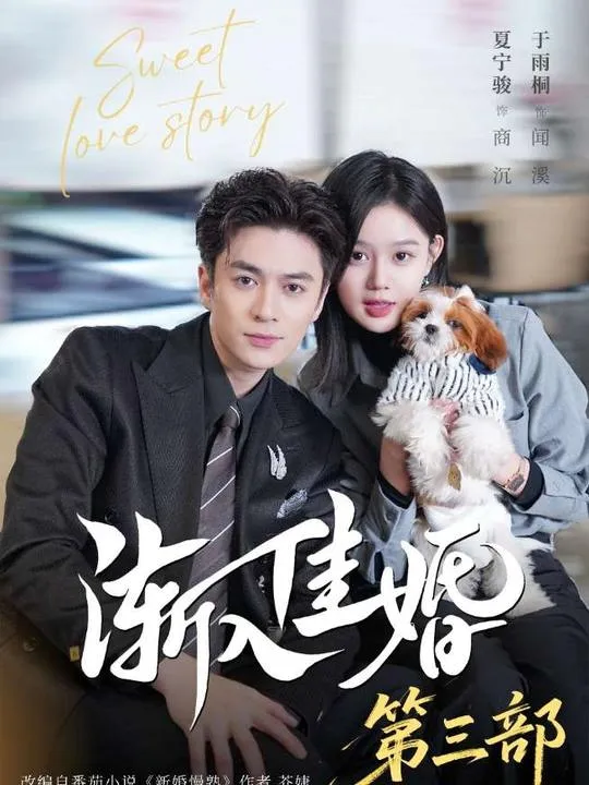 渐入佳婚3