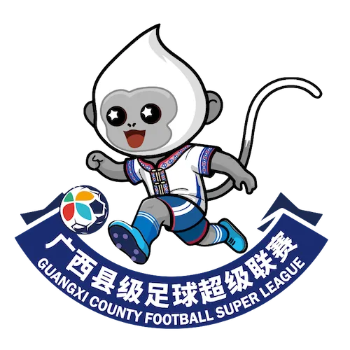 广西县级足球超级联赛 钦州市灵山县队1-2防城港市东兴市队20260301